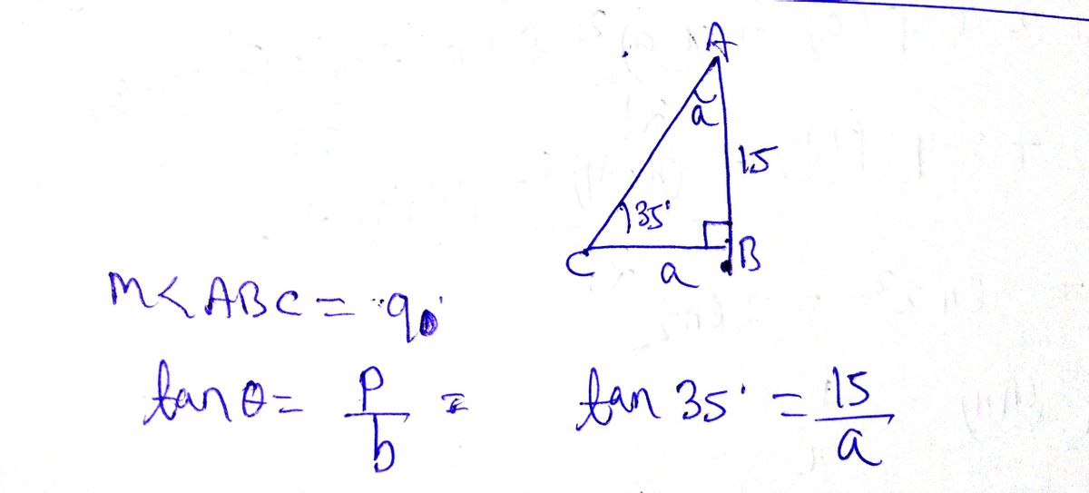 Calculus homework question answer, step 1, image 1